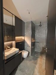 Irwell Hill Residences (D9), Apartment #478596281